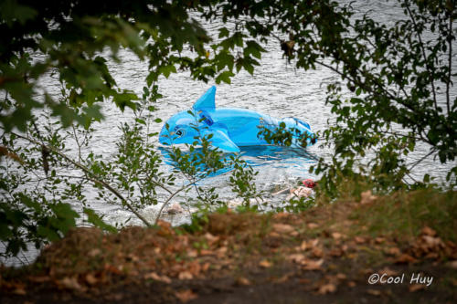 27082020-DSC 1066