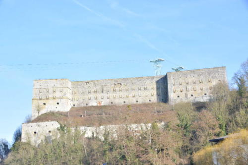 DSC 0142 copie