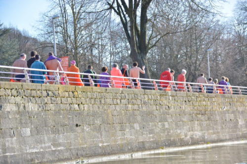 DSC 0176 copie