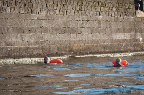 19012019- DSC0029