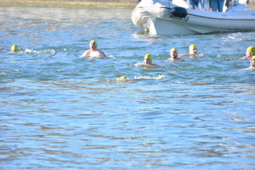 DSC 0039 copie