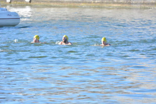 DSC 0042 copie