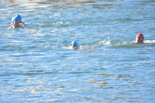 DSC 0413 copie