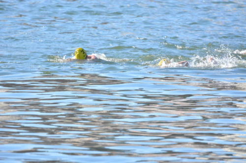 DSC 0632 copie