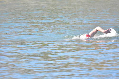 DSC 0875 copie